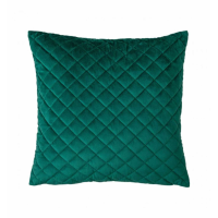 Velvet Cushion Emerald (2pk)