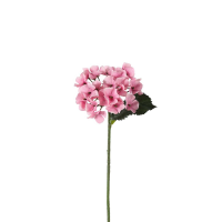 Pink Hydrangea Stem Pink 12pk Small