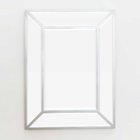 Silver Leaf Edged Mirror
