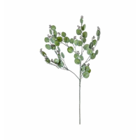 Spray Dusky Green