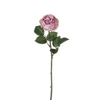 Lilac Rose Stem Lilac 12pk Small