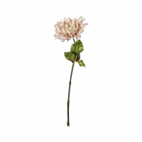 Stem Pale Pink (3pk)