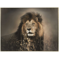 Lion Gold Framed Canvas Wall Art 80 x 113cm