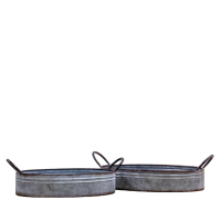 Galvanised Tray Set of 2
