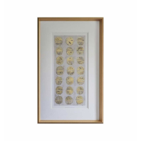 Fossil Study Framed Art