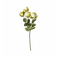 Spray White (3pk)