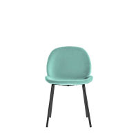 Flanagan Chair Velvet 2pk