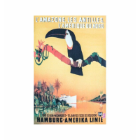 Toucan Unframed Canvas