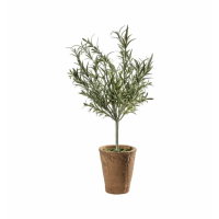 Tree With Clay Pot