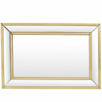 Foxton Rectangular Gold Framed Mirror 80x120cm