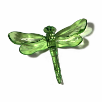 Green Dragonfly With Spike