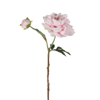 Peony Spray 6pk