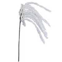 White Foam Fish Tail Fern
