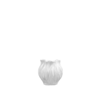 White Flora Vase White