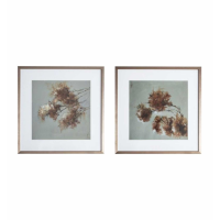 Floral Framed Art Set of 2
