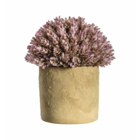 Lilac With Rustic Pot