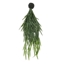 in Soil