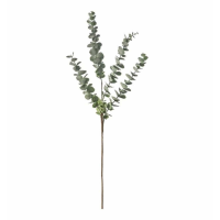 Spray (6pk) Dusky Grey