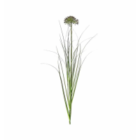 Grass Spray Damson (5pk)