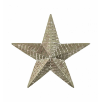 Textured Star Bronze Large
