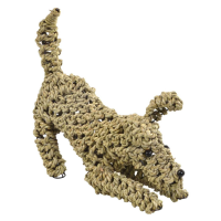 Playing Seagrass Dog