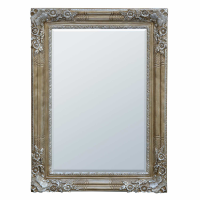 Traditional Style Bevelled Wall Mirror in an Antique Silver Frame