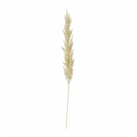 Grass (3pk) Ivory