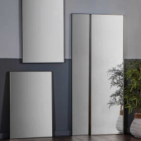 Modern Rectangular Metal Glass Extra Large Leaner Mirror in Silver 170x50cm