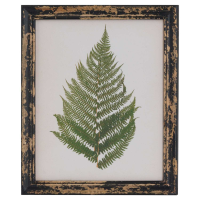 Rustic Pine Wood Framed Botanical Green Fern Leaf Wall Picture 40 x 34cm