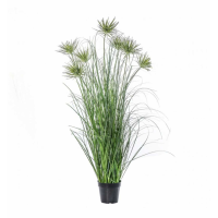 Grass with 7 Flowers