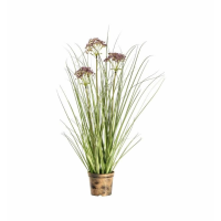 Grass With 3 Heads Green Red