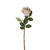 Light Pink Rose Stem Light Pink 6pk Large