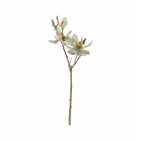 Stem White