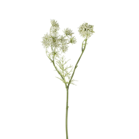 Queen Annes Lace Spray 12pk