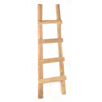 Large Rustic Teak Tree Root Wooden Display Ladder with 4 Shelves 151cm Tall