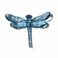 Turkish Blue Dragonfly With Spike