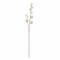 Spray (6pk) Ivory