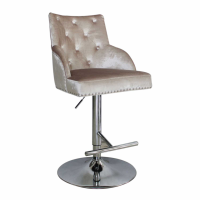 Kikki Champagne Velvet Fabric Champagne Metal Gas Lift Kitchen Bar Stool with Footrest