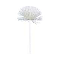 White Foam Single White Stem Spiky Flower