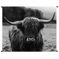 Morag Highland Cow Velvet Hanging Wall Art 146x110cm