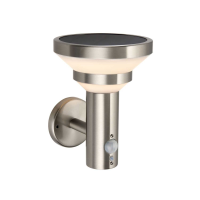 Stainless Steel Halston Outdoor 1 Wall Light