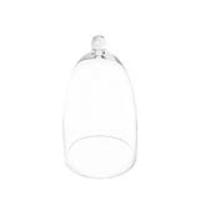 Value 29. 5cm Clear Glass Dome