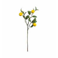 Stem With 3 Fruits