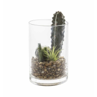 Garden In Glass Jar