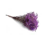 Dried Purple Babys Breath Bunch