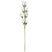 White Foam Single Stem Flower Buds