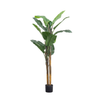Green Banana Palm Small