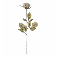 Rose Stem (6pk) Ivory