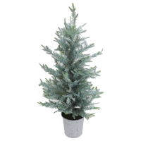 Tall Chirstmas Fir Tree In Stone