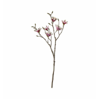 Spray Powder Pink (3pk)
